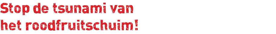 Stop de tsunami van het roodfruitschuim!